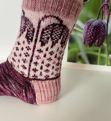Fritillaria Socks photo 8