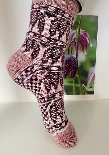 Fritillaria Socks photo 4