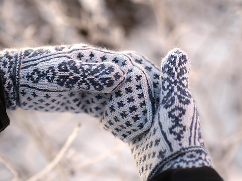 Fortuna votter - Inger Berg