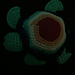 Turtle pattern