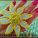 Daisy Ring pattern 
