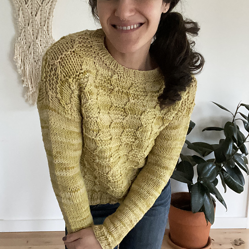 Ravelry: Pollinators Pullover pattern by Annie Lupton