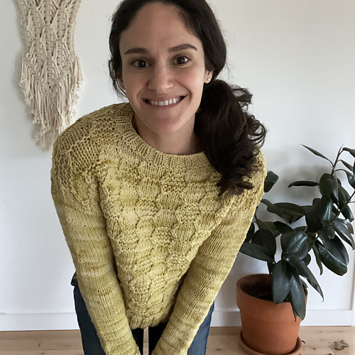 Ravelry: Pollinators Pullover pattern by Annie Lupton