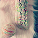 Candy Kingdom Socks pattern 
