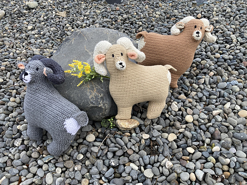 Ravelry: Bighorn Sheep pattern by Susan Pawley