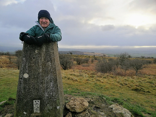 Davids Lue - Linda Moorhouse