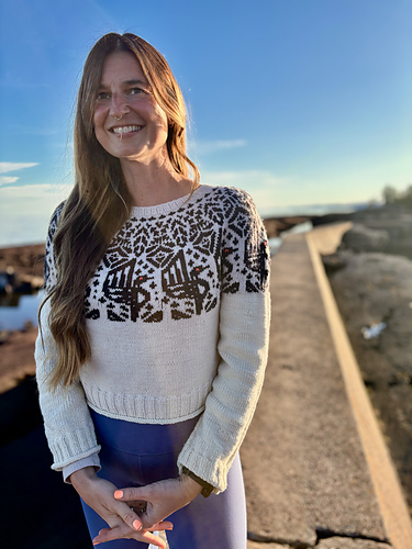 Minnesota Loons Sweater