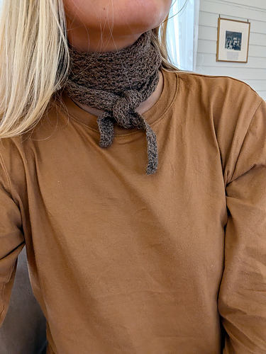 Asta Crochet Scarf