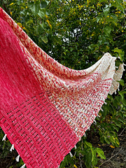 Shawl Frida