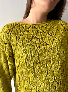 Blusa Indi