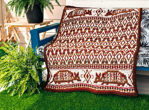 Armadillo Adventures