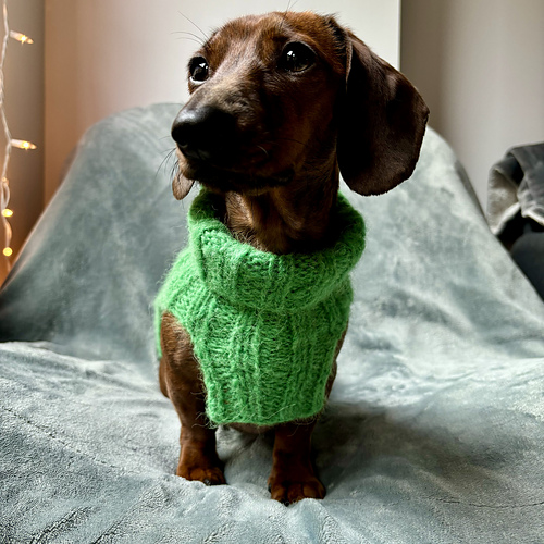 Make It Green Dog Cowl photo 4