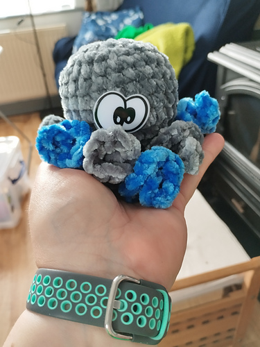 Mini Octopus photo 5