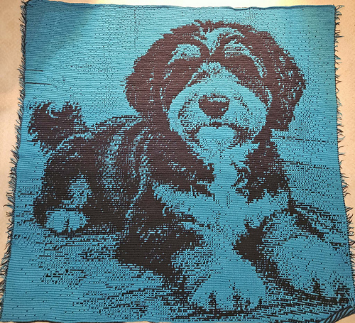 Overlay Mosaic "BERNEDOODLE"