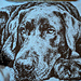 Overlay Mosaic "LABRADOR" pattern