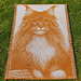 Overlay Mosaic "MAINE COON" pattern