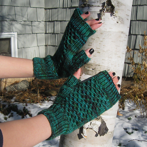 The Bee's Knuckles photo 7