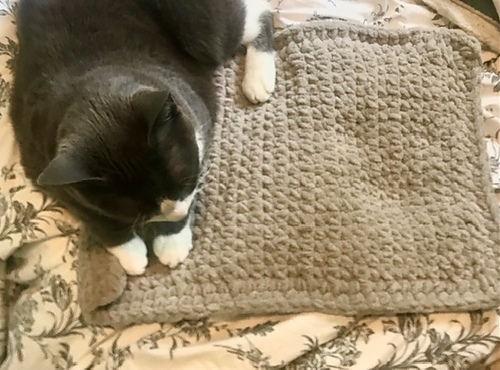 Picture of Ravelry: Easy Cat Comfort Mat pattern by Pam Carr