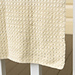 Simple Shells Baby Blanket pattern