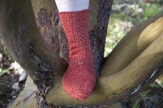 Cat's Sweet Tomato Heel Socks - Cat Bordhi