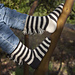 Cat's Zebra Socks pattern 