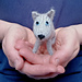 Mini Wolf Cub pattern
