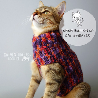 cat wool sweater