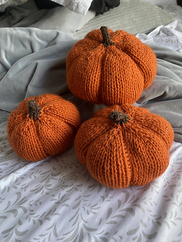 Autumn Harvest Pumpkin photo 3