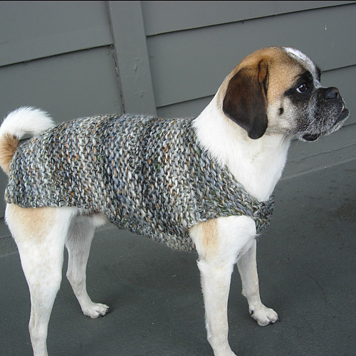 Ravelry Need for Tweed Dog Sweater pattern by Shiri Mor