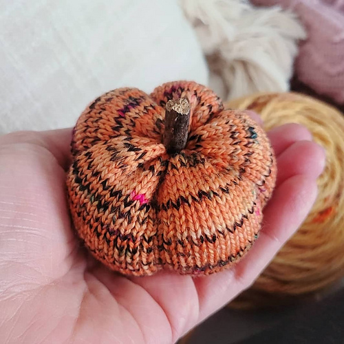 Bring It On, Pumpkin! photo 3