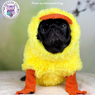 Doggie Diva Duckling Crochet Pattern