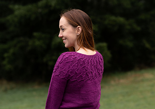 Back view of the Alcyone yoke Sweater