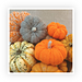 Mindful Munchkin Pumpkin pattern