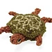 Sea Turtle pattern 