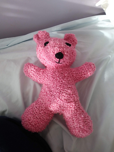 Vibe Bear photo 1