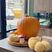 Speedy Little Pumpkin pattern 