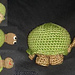Schildkröte / turtle photo 3