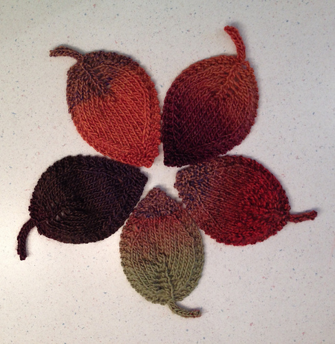 A Leaf in Three Sizes photo 2