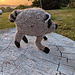 Jimothy the Seattle Raccoon pattern