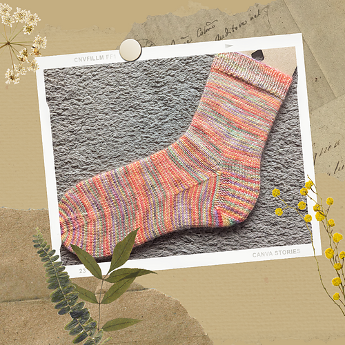 Woolly Plains Sock