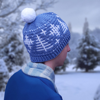 Mosaic Snowy Forest Hat Large