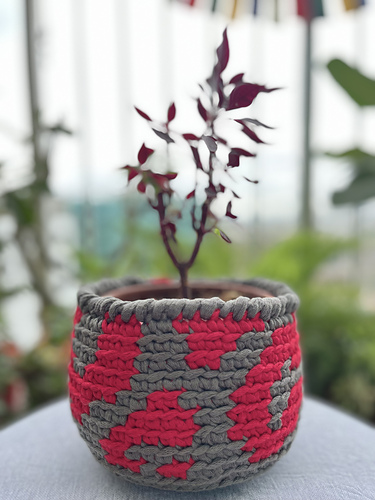 Luxe Leopard Basket - Kelsie Weeks