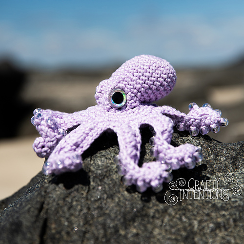 Small Realistic Octopus