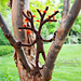 Sapling Sprites pattern 