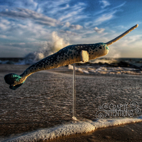 Narwhal