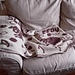 Sleepy Sheep pattern