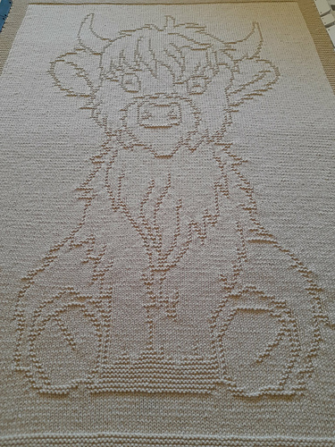Harry the highland cow
