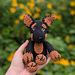 Free Mini Kelpie pattern 