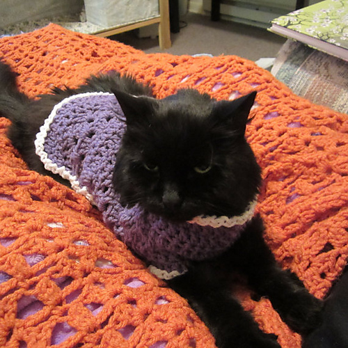 Kitty Cat or Small Dog Crochet Sweater photo 3