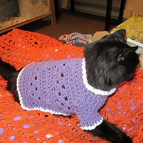 Kitty Cat or Small Dog Crochet Sweater photo 4